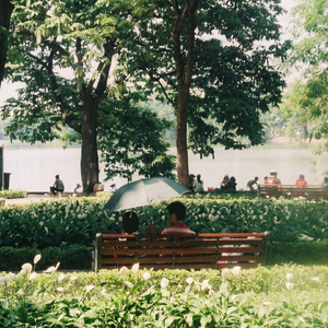 欧亚猛少妇✘✘✘✘猛叫
