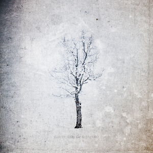 欧亚猛少妇✘✘✘✘猛叫
