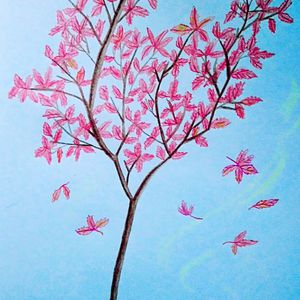 欧亚猛少妇✘✘✘✘猛叫
